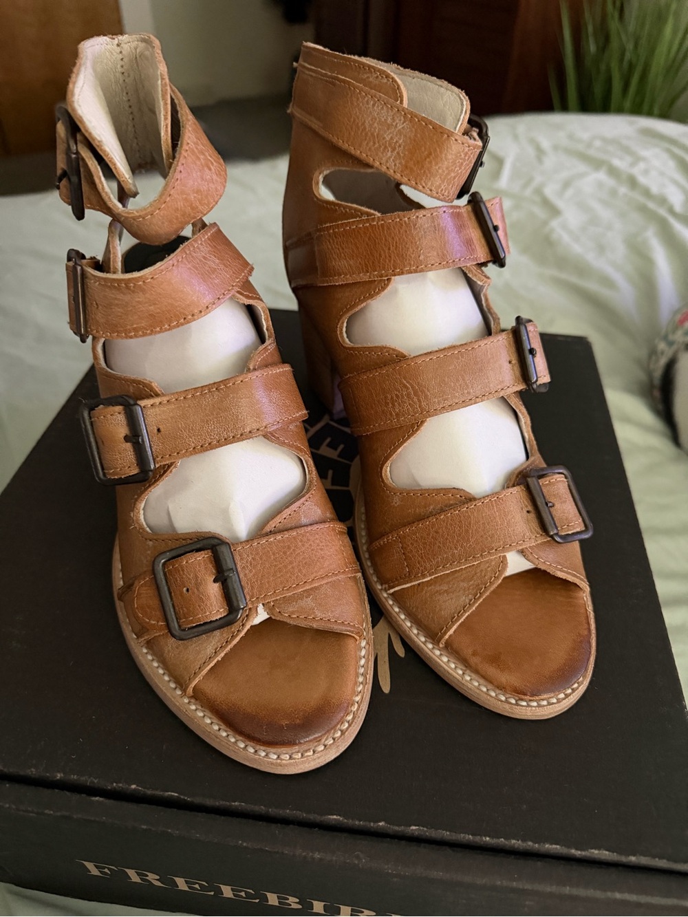Freebird by Steven Tan Leather Multi-Buckle Gladiator Sandals